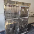 Stainless Steel Pet ICU Cage