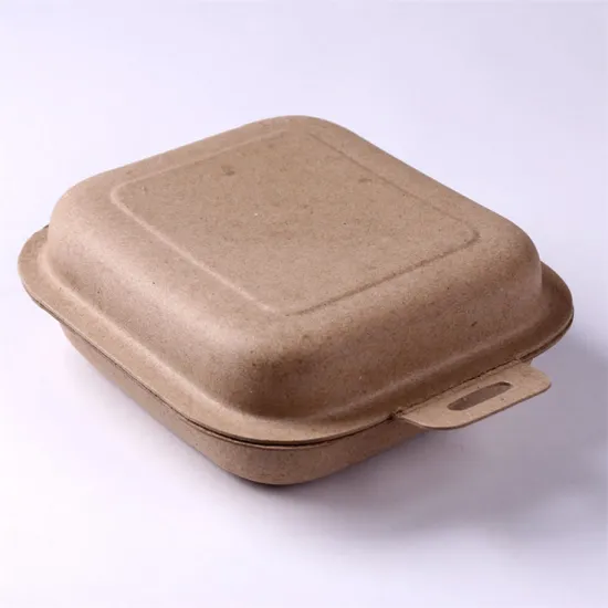 Biodegradable recycled paper molded pulp packaging box
