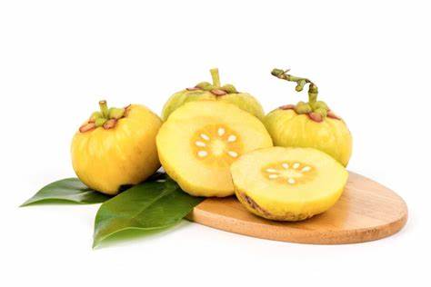 Natural Garcinia cambogia extract powder