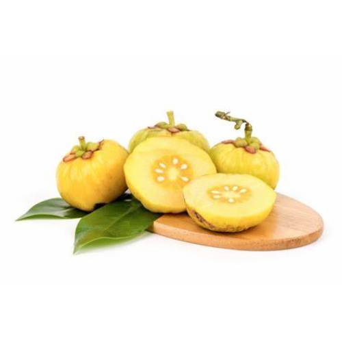 Natural Garcinia cambogia extract powder