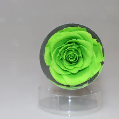 Yunnan Activelove Preserved Roses - Everlasting Roses for Home Decor