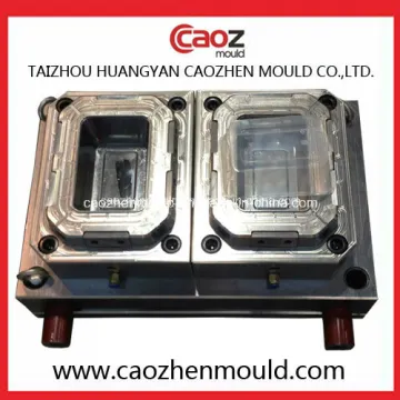 Good Quality/ Thin Wall Fast Food Container Mould