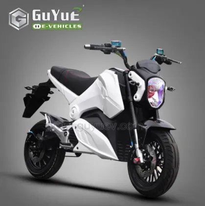 EEC Certified Electric Motorcycle