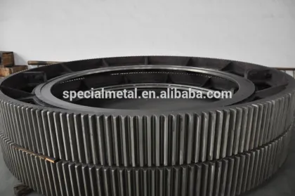 Carbon Steel Large Spur Gears