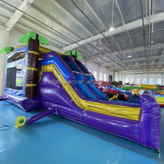 PVC Commercial Inflatable Slides and Bouncers
