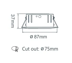 Professional Adjustable Cct 4 Watt Downlight