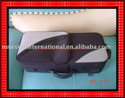 Saxophone Case