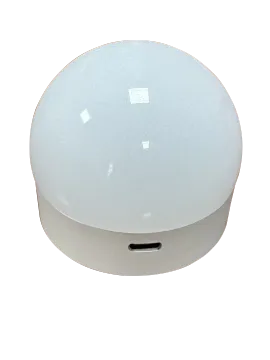 led light bulbs with built-in backup battery