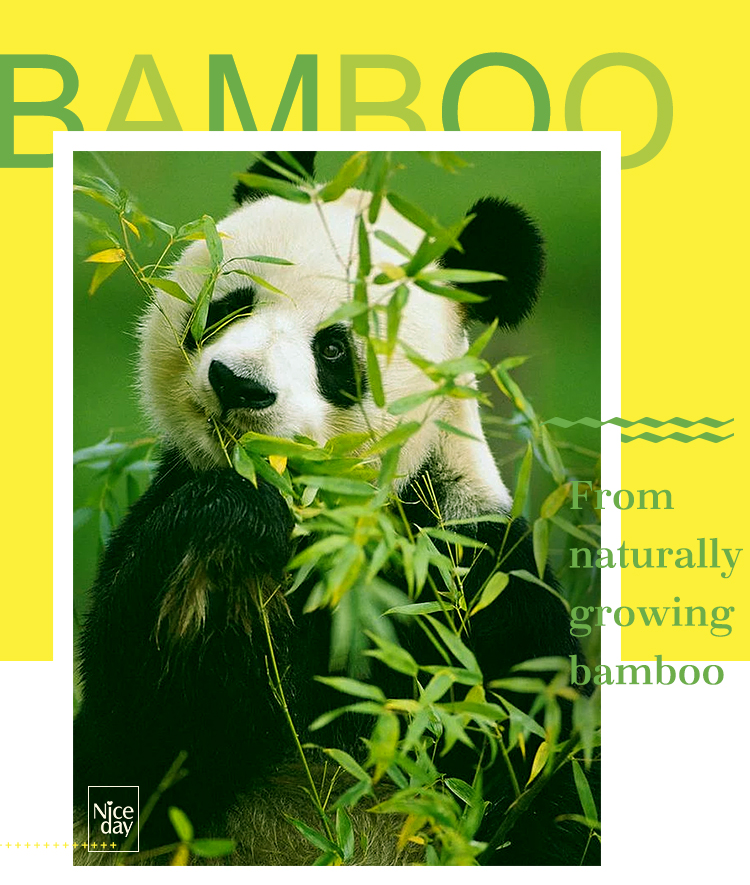 Bamboo pad