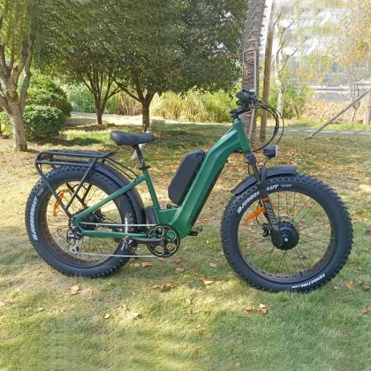 1500W Powerful Fat Tire Dual Motors AWD Electric City Bike