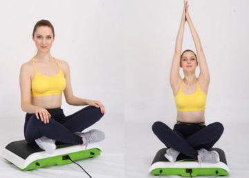 Fitness Machine Machine Meilleur prix Vibration Slimmer