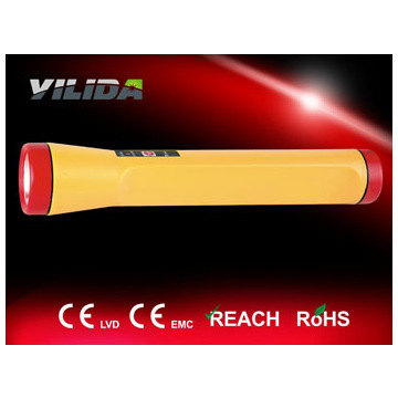1101 police flashlight
