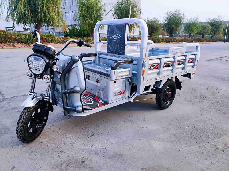 Eco Friendly Home Three Wheel Electric Vehicle