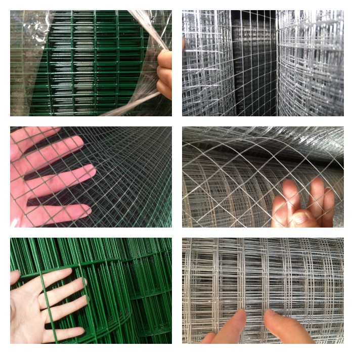 welded wire mesh