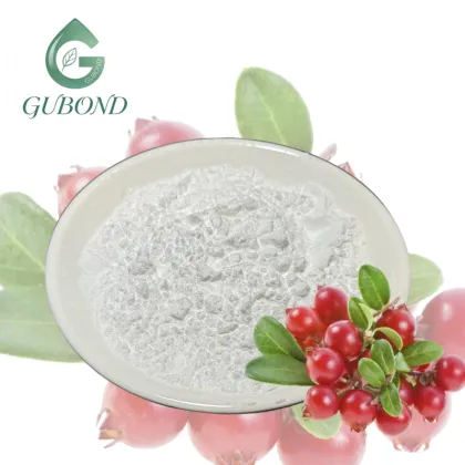 Alpha Arbutin Powder for Dietary Supplement Ingredients