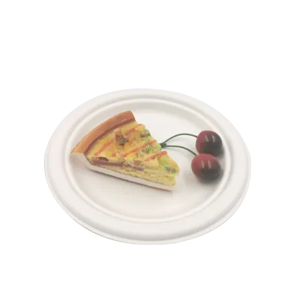 Customized party paper tableware bagasse dinner plate