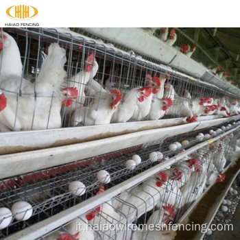 Multi-Tiers Chicken Poultry Farm Battery Gabbia dello strato di pollo