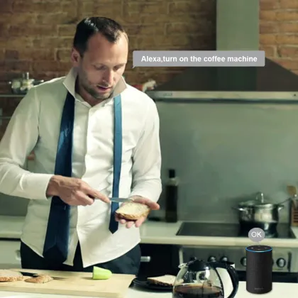 Brazil HomeKit Tuya 20A/16A Smart Plug Socket