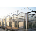 Agricultural Large Venlo Glass Flower Greenhouse