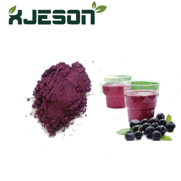 Blueberry fruit powder