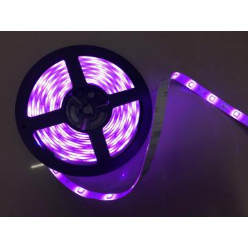 DC24V Waterproof Purple Flexible LED Strip