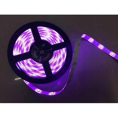 DC24V Waterproof Purple Flexible LED Strip