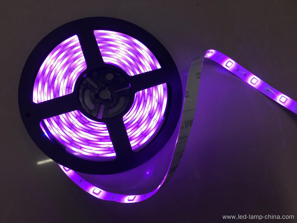 DC24V Waterproof Purple Flexible LED Strip