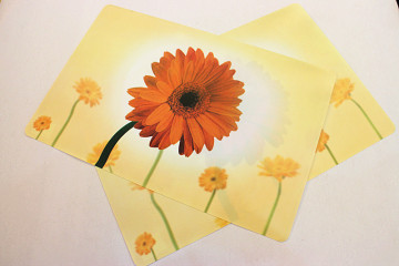 Colored eco-friendly plastic placemat