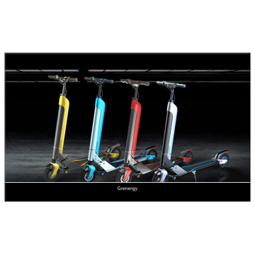 2 Wheel Stand up Foldable Electric Skateboard