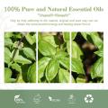 Best Selling 100% Pure Plant Basil Oil For Massage Oil