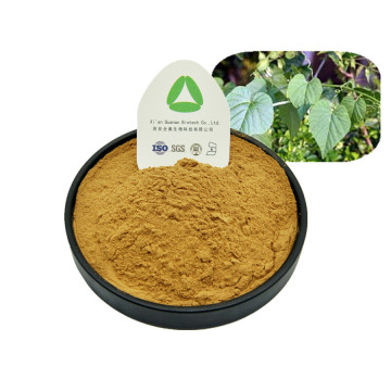 Pure Plant Cissus Repens Extract Powder 100% Natural