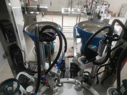 Automatic Sauce Filling Machine for Chili and Beef Sauces