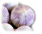 Single clove garlic