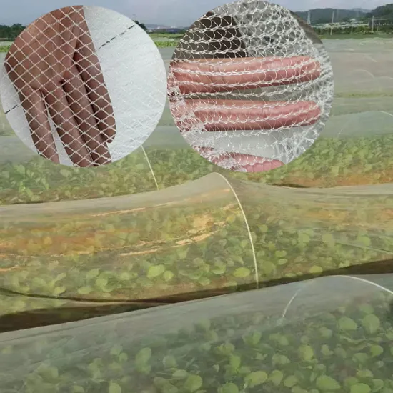 Greenhouse Vegetable Anti-Insect Nets for Pest Protection