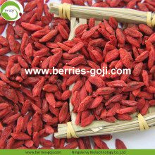 Factory Supply Nutrition Dried Lycium Chinense
