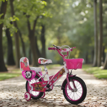 SL16247 Orange Kids BMX Bicycle - Cheap New Model Fashion Street Bike
