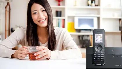 Fixed Wireless Terminal for Huawei F685