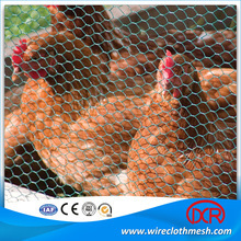 cheap and high qulity Chicken Wire Mesh / PVC Coated /stainless steel wire Hexagonal wire netting