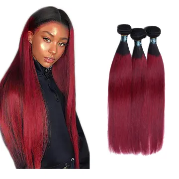 Free Sample Brazilian Human Hair Ombre Color 1b/burg Wine Red Burgundy Hair Bundles Virgin Raw Cuticle Aligned Hair with Closure
