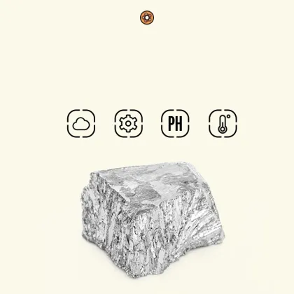 MOBI GARDEN & LINE FRIENDS Titanium Camping Coffee Cup