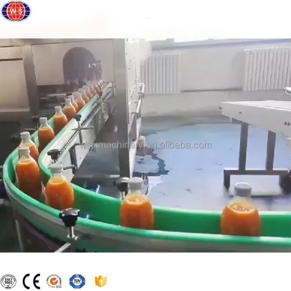 Turnkey Project: Juice Processing Machine for Orange Juice Production Line