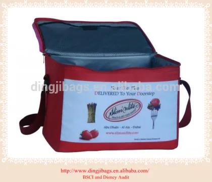 Brand names Insulated cooler tote bag