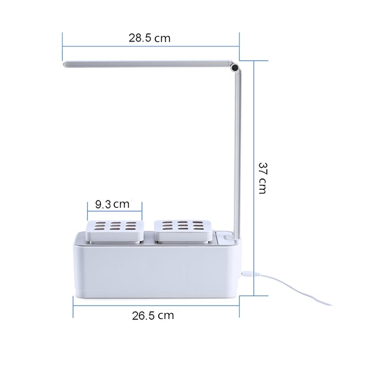 hydroponics 3