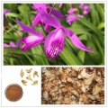 Reines Bletilla -Striata -Extraktpulver