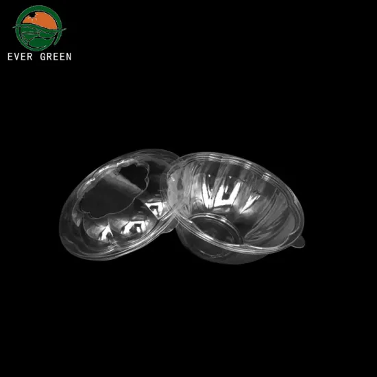 Takeaway Disposable Clear To Go 24oz Salad Bowl