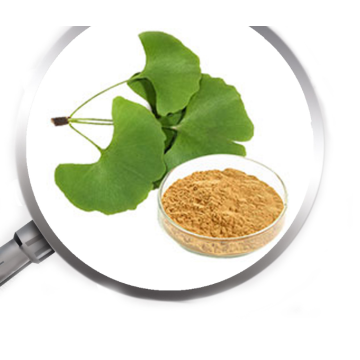 Indian herbs sphaeranthus indicus extract East Indian Globe