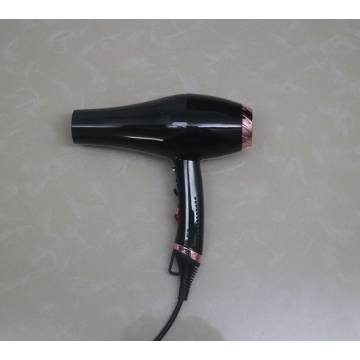 2000W Beauty Hair Machine Electric Inoic Hair Blower