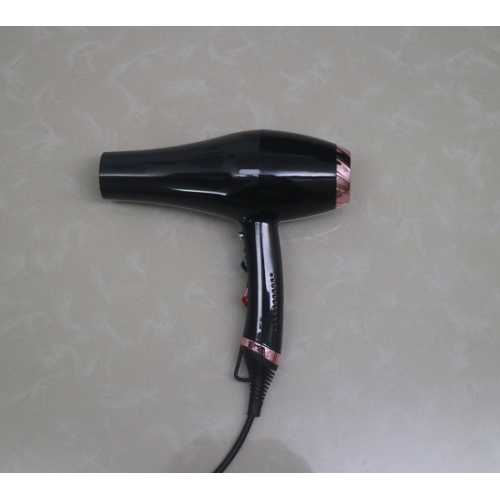 2000W Beauty Hair Machine Electric Inoic Hair Blower