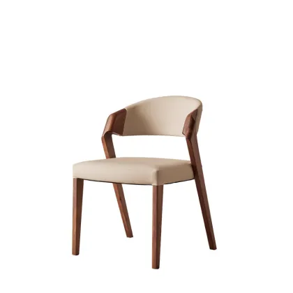 Solid Wood Dining Chairs for Home Furniture Table