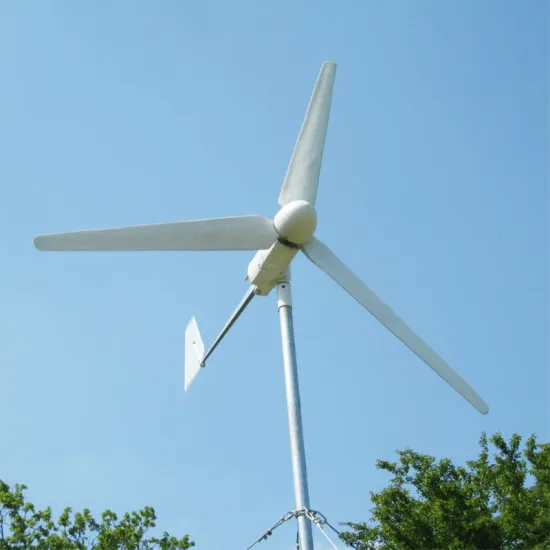 FD3.0-1KW Off Gird HIgh Quality Wind Turbine/generator